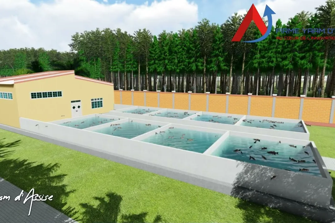 Plan 3D des bassins