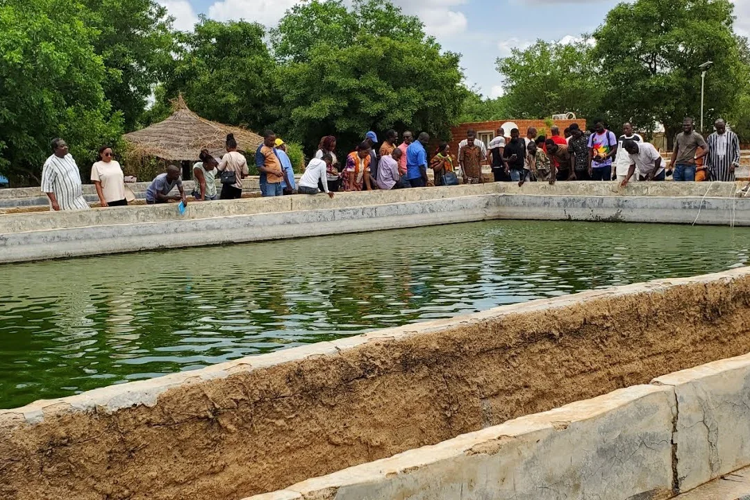 Participants au bord d'un bassin