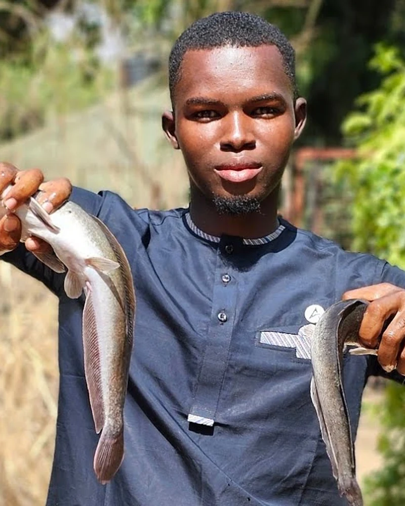 Deux silures sortis d'un bassin