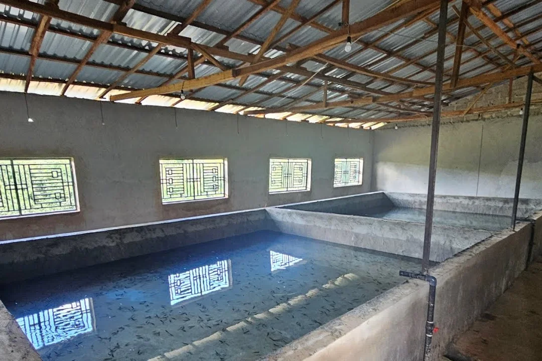 Bassins sous hangar