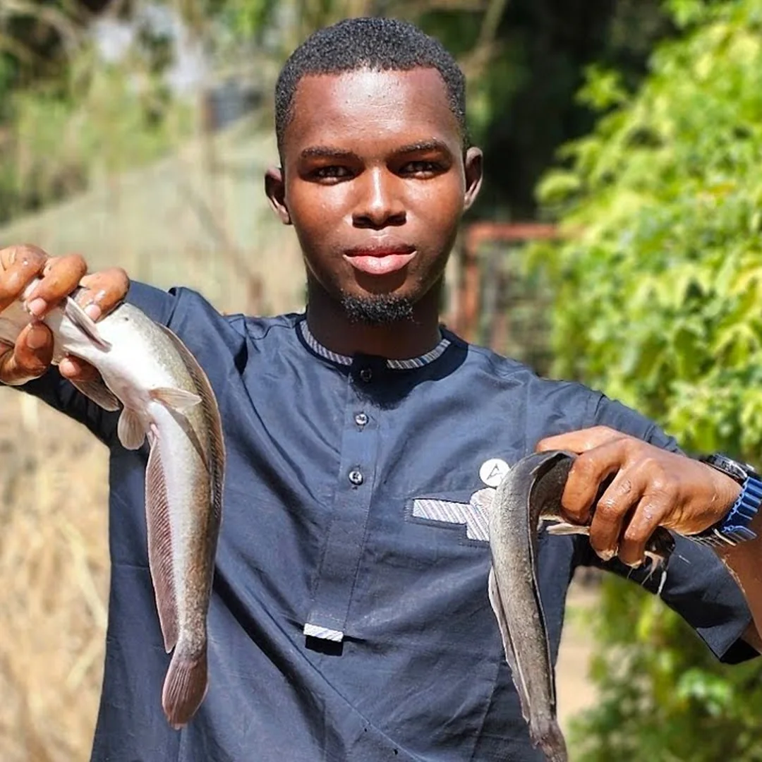 Silures sortis du bassin